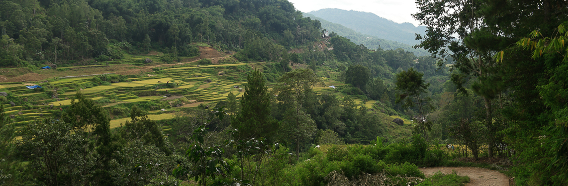 Rondreis Sulawesi-Toraja-07